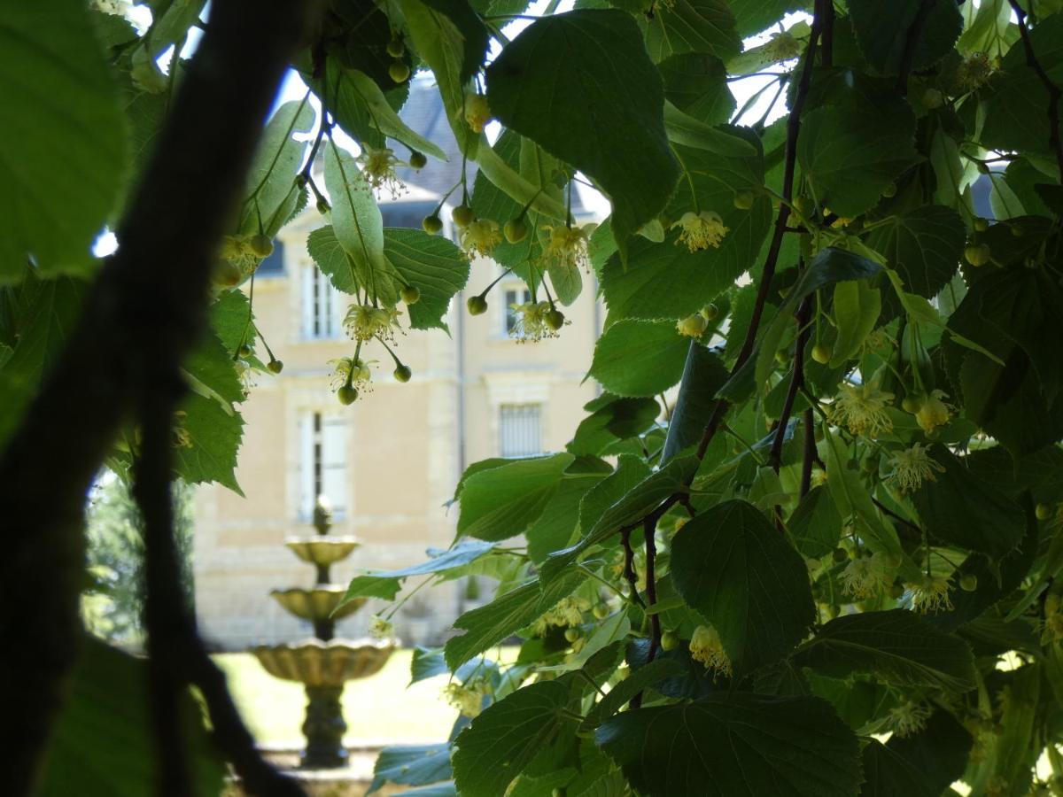 Chateau Marith - Etablissement Climatise Avec Piscine Hotell Clairac  Exteriör bild