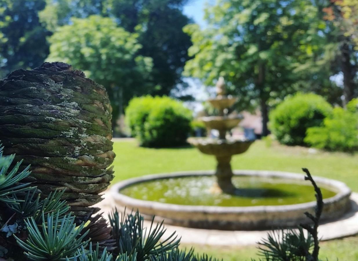 Chateau Marith - Etablissement Climatise Avec Piscine Hotell Clairac  Exteriör bild