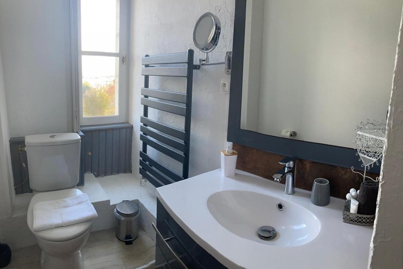 Chateau Marith - Etablissement Climatise Avec Piscine Hotell Clairac  Rum bild